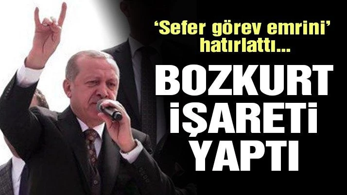 Και… γκρίζος λύκος ο Ερντογάν!